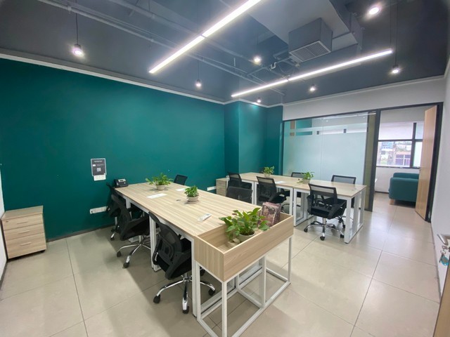 广州猪瘟复合盐哪家专业